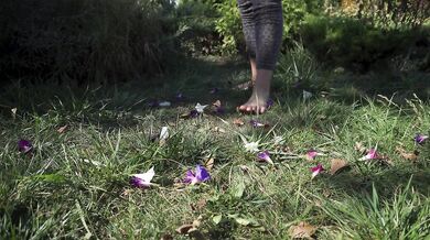 Crushing Flowers Barefoot In The Grass