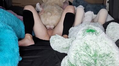 New babe so many pussies