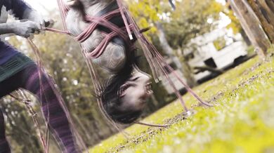Outdoor Bondage Shibari Suspension - Tattoo skinny Girl in ropes on a tree