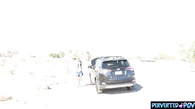 Stranded driver gets picked up for sex