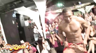 DANCING BEAR - Strippers and Sexy Horny Ladies waiting to show Off their dick sucking skills!