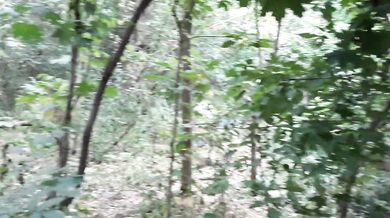 My girlfriend caught me masturbating in the forest and fucked me with a bottle.