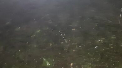 We had passionate sex in the rain - Lesbian_illusion