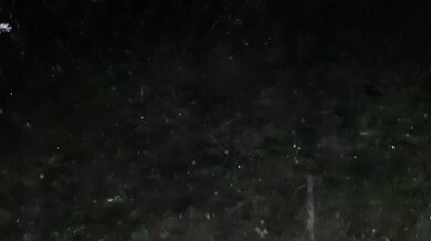 We had passionate sex in the rain - Lesbian_illusion