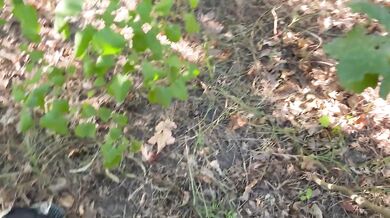 Girl and I mutually masturbated when people were walking behind us - Ikasmoks
