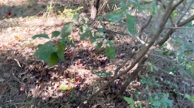 Girl and I mutually masturbated when people were walking behind us - Ikasmoks