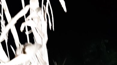I caught my stepmom pissing and started mutually masturbating with her - Lesbian_illusion