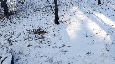 I invited my neighbor to a picnic in the forest and seduced her - Lesbian_illusion