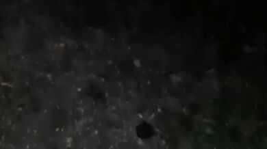 We fucked in my parents yard while they were in the house - Lesbian_illusion