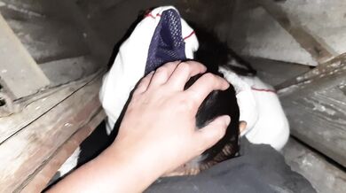 My neighbor licked my pussy in a public village toilet - Lesbian_illusion