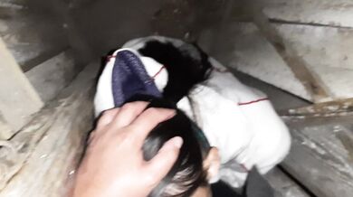 My neighbor licked my pussy in a public village toilet - Lesbian_illusion