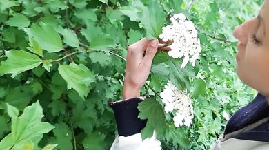 I seduced my gardener's girl, with whom we fuck in the barn so that no one sees - Lesbian_illu
