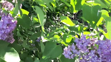 I gave my neighbor a bouquet of flowers, and for the first time she thanked me with cunnilingus