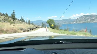 PUBLIC BLOWJOB- horny MILF picked up hitchhiking Hawk Tuahs on strangers big dick
