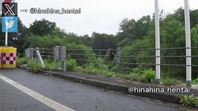 A thrilling ride on the side of the road! Naked outdoor exposure is nerve-wracking, continue on fan site!