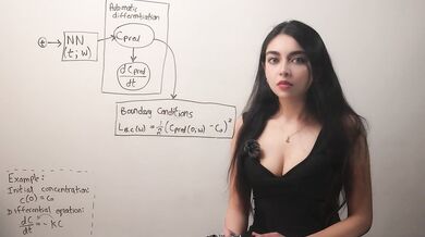 An Introduction to Physics-Informed Neural Networks