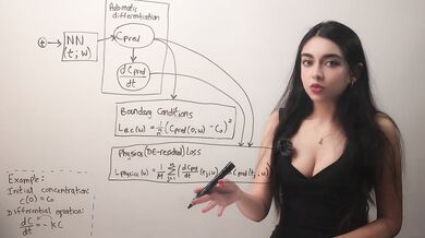An Introduction to Physics-Informed Neural Networks