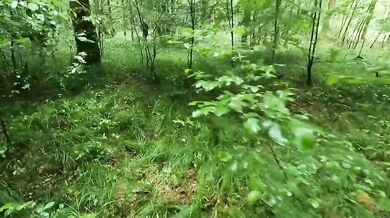 My stepmom jerks my cock in the woods, quick & makes me cum in her pretty thong before coming home