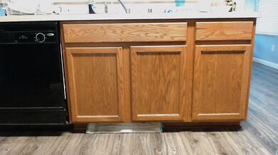 Dishwashing Desperation