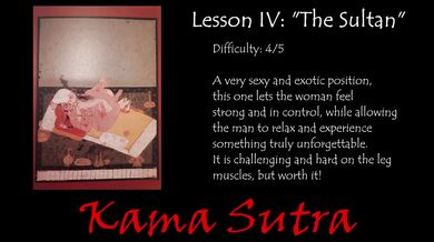 Kamasutra for couples IV: "Sultan"