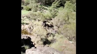 Australian Nude Hiking Swimming and Sex Story