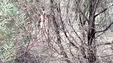 Australian Nude Hiking Swimming and Sex Story