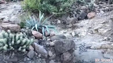 Cheating Wife Catches Stranger Jerking Off in Public and Sucks His Dick Good