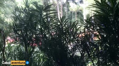 Real Amateur Public Anal Sex Risky on the Park!!! People walking near...
