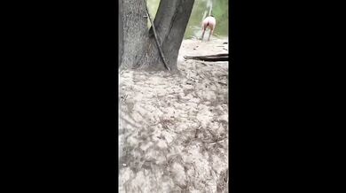 Nude Beach Fuck and Cumshot
