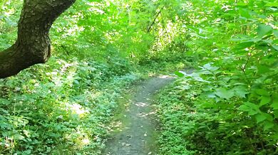 Quarantine in the Woods: Deep Fuck MILF Facial