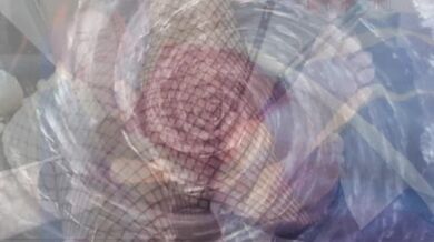 Femdom Mindfuck