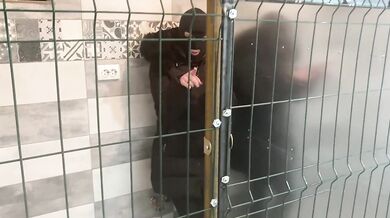 Caged & Collared in Black Downjacket – Blowjob, Doggy & Cum Finish