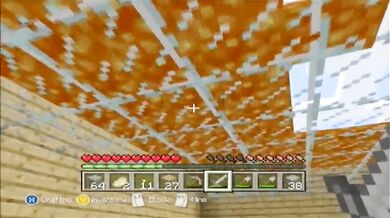 Minecraft Xbox: The Hunt For Diamonds [9]