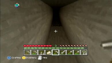 Minecraft Xbox: The Hunt For Diamonds [9]