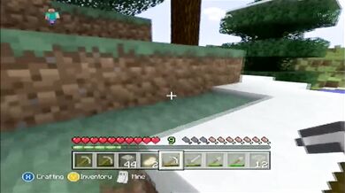 Minecraft Xbox: The Hunt For Diamonds [9]