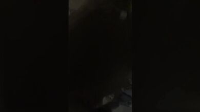 Girlfriend Called for Blowjob and 69, Jumps on Cock - Homemade | PussyKageLove