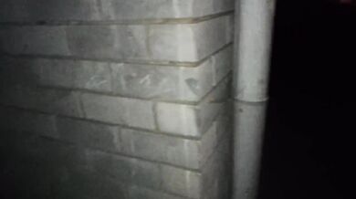 She wanted to suck my dick in the street. Why not?