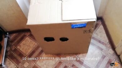 Nipple sucking box