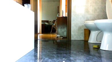 Nicoletta cleans her bathroom with hot pee. Do you want to help her?