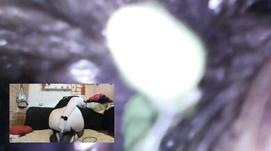 Dominated shrunken smells all my farts - Hardcore giantess vore video