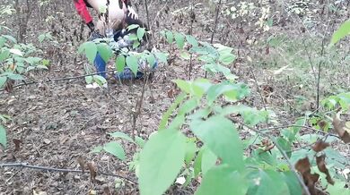  one girl pissed in the forest and how the second girl gave her cunnilingus