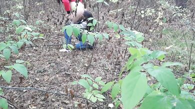  one girl pissed in the forest and how the second girl gave her cunnilingus