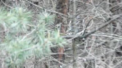Peeping Tom on teen play with pussy in forest, public masturbation orgasm