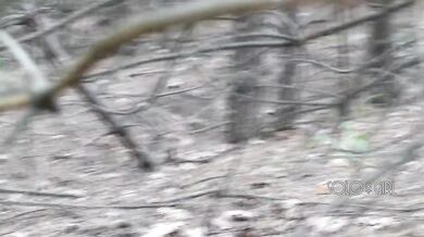 Peeping Tom on teen play with pussy in forest, public masturbation orgasm