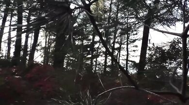 Outdoor Sex. Unexpected fuck with a stranger in the forest. Russian