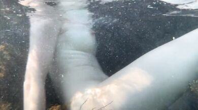 Caught a mermaid masturbating, watching her holes underwater at sea