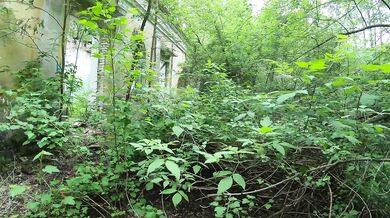 Naked girl came to a scary abandoned house