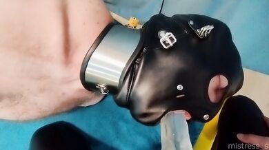 Hogtied slave really likes to suck strapon! Real amateur POV