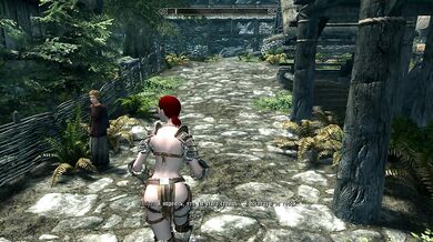 Skyrim Testing Sex Mod
