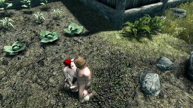 Skyrim Testing Sex Mod